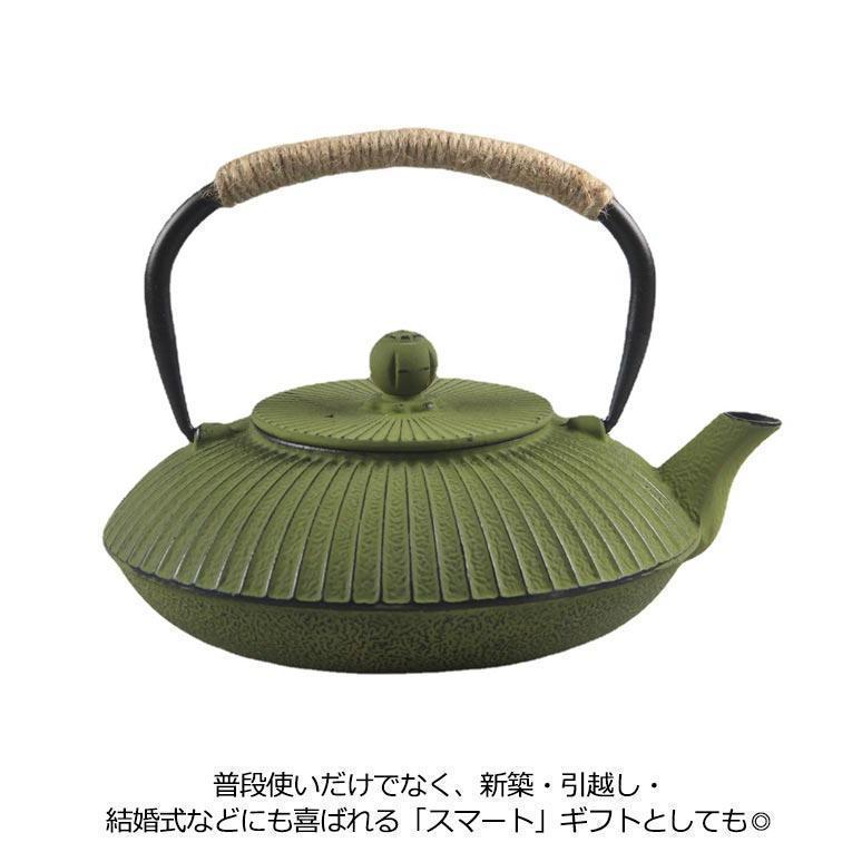 鉄瓶 800ml 鉄分摂取 急須 茶こし付き 貧血予防 白湯 やかん ケトル 直