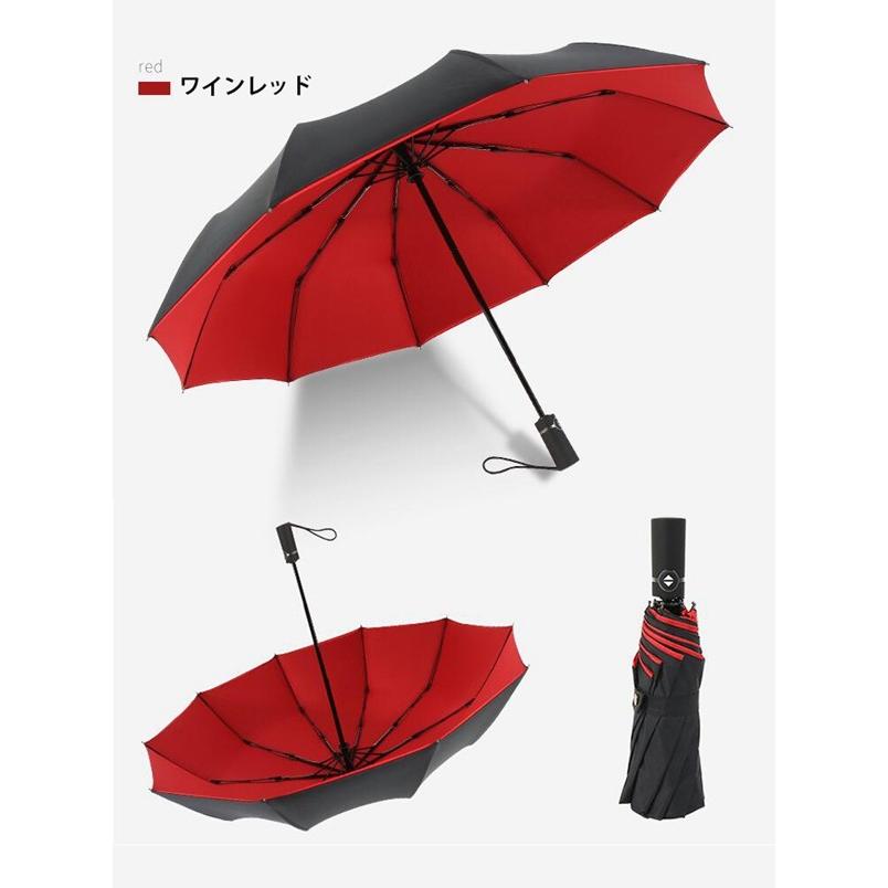 折りたたみ傘 傘 自動開閉 梅雨 日傘 晴雨兼用 折り畳み傘 10本骨 かさ