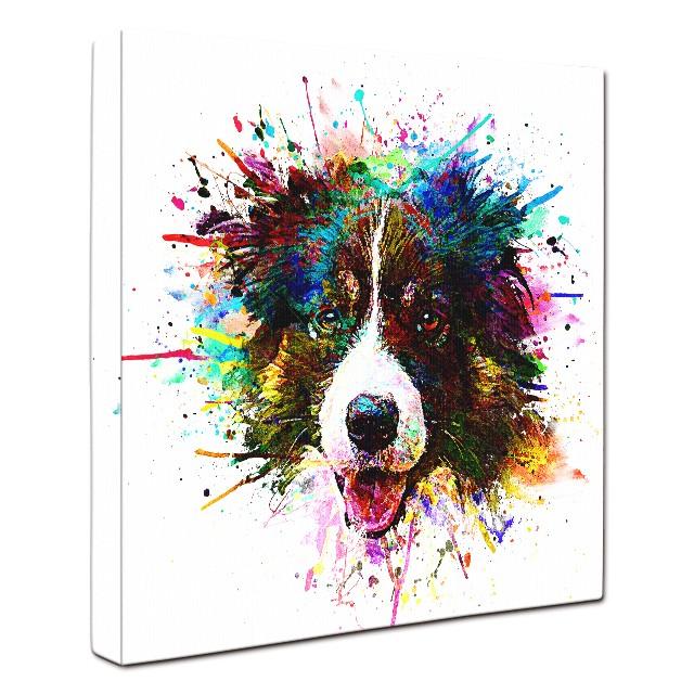 Big Bang Color ボーダーコリー ｍサイズ ワンにゃんアートキャンバス 絵画 犬 グッズ アートパネル ポスター Pymr Go Th