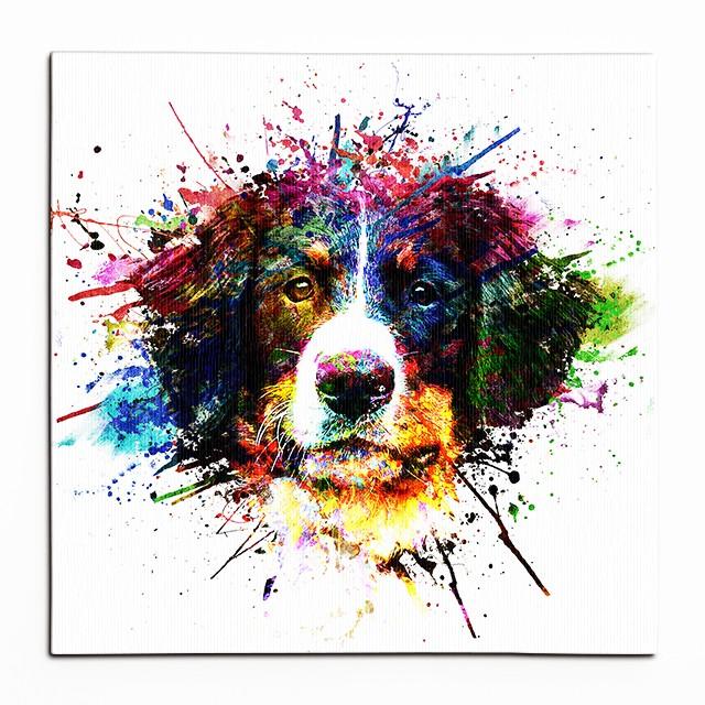 Big Bang Color バーニーズマウンテンドッグ Mサイズ ワンにゃんアートキャンバス 絵画 犬 グッズ アートパネル ポスター Wn c Bmd M ワンにゃんギャラリー 通販 Yahoo ショッピング