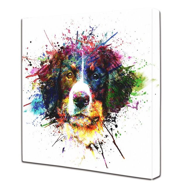Big Bang Color バーニーズマウンテンドッグ Mサイズ ワンにゃんアートキャンバス 絵画 犬 グッズ アートパネル ポスター Wn c Bmd M ワンにゃんギャラリー 通販 Yahoo ショッピング