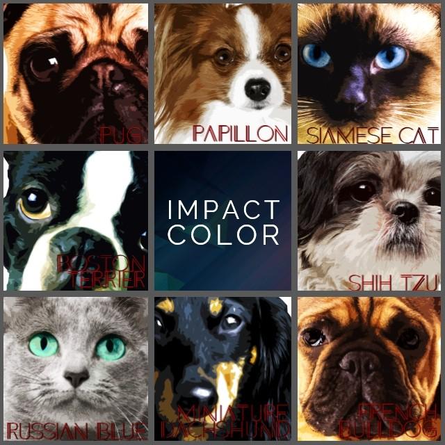 オーダーメイド Mサイズ 愛犬 愛猫でオリジナルのアートキャンバス制作します Big Face Series 名入れ可 絵画 ペット 似顔絵 オーナーグッズ Wn Eo Bf M ワンにゃんギャラリー 通販 Yahoo ショッピング