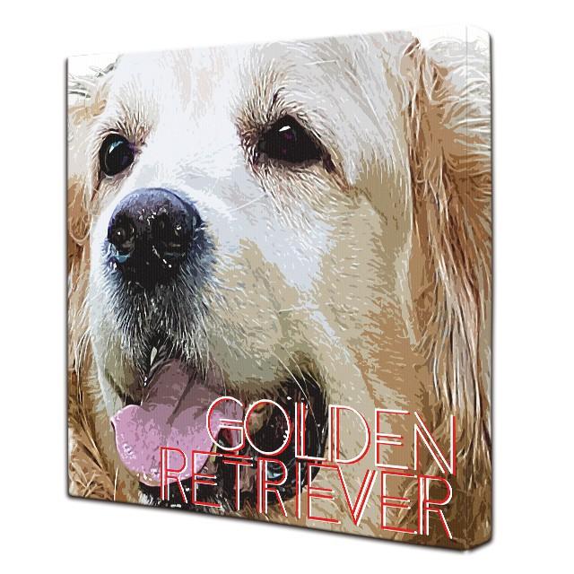 Impact Color ゴールデンレトリバー2 ｓサイズ ワンにゃんアートキャンバス 絵画 犬 インテリア雑貨 グッズ Wn Imc2 Gdr S ワンにゃんギャラリー 通販 Yahoo ショッピング