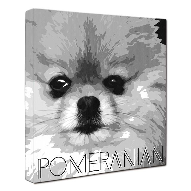 Impact Shirokuro ポメラニアン Mサイズ ワンにゃんアートキャンバス 絵画 犬 インテリア雑貨 グッズ Wn Sk Pom M ワンにゃんギャラリー 通販 Yahoo ショッピング