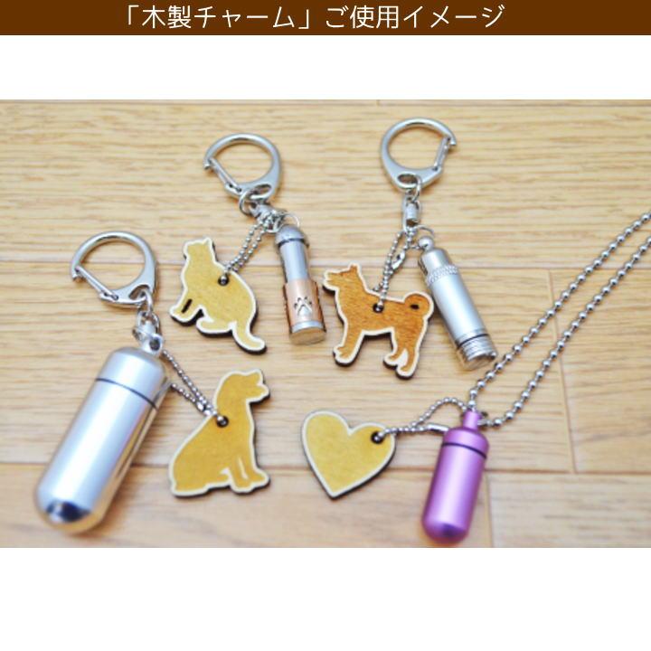 ペット 遺骨 キーホルダー カプセル大 2重構造 われない ペット