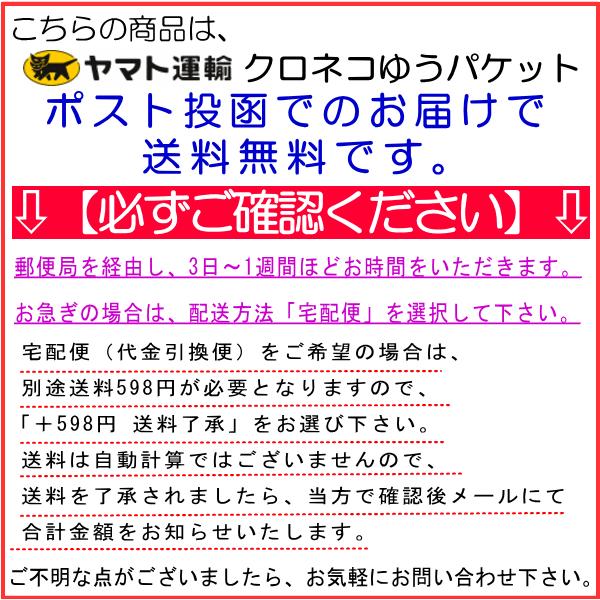 ペット遺骨ペンダント刻印込 パステルスリム ステンレス製ボールチェーン ペット遺骨カプセル ペット遺骨入れ アクセサリー ペット遺骨ホルダー｜wan-nyan-memory｜09