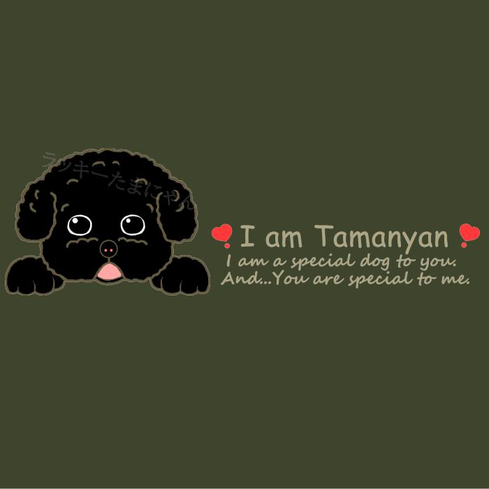 犬柄 ショルダーバッグ 名入れ トイプードル柄 プードルE トイプードル