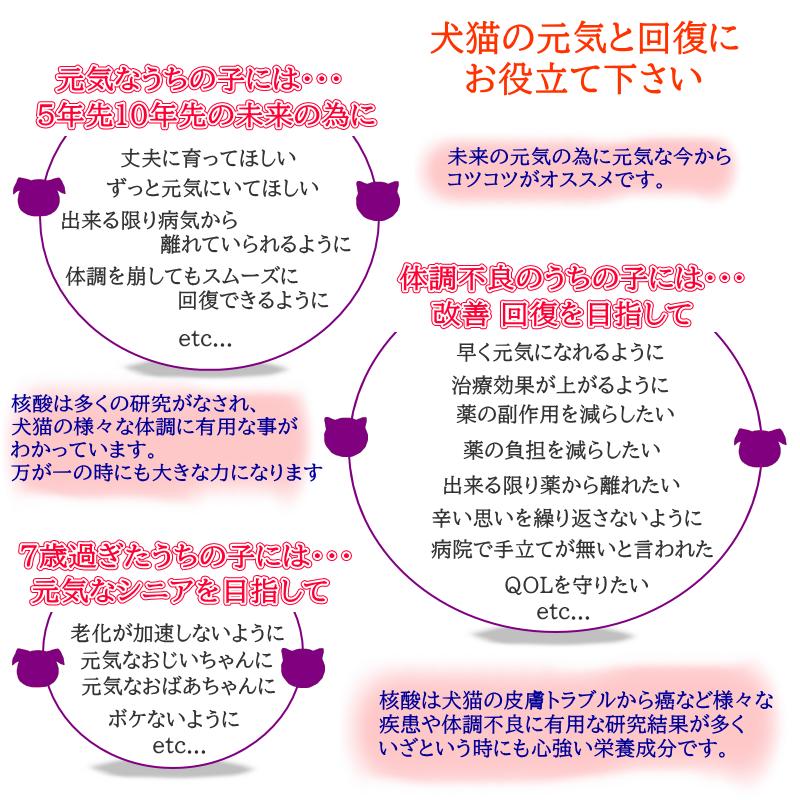 ペット用サプリ　ニューヌクレオエンジェル 300粒 ニューヌクレオエンジェル 300粒×2本 ドクターのり子 犬猫用核酸