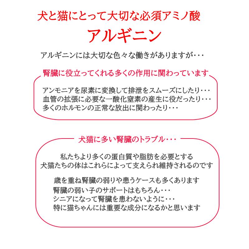 ニューヌクレオエンジェル 300粒×2本 ドクターのり子 犬猫用核酸