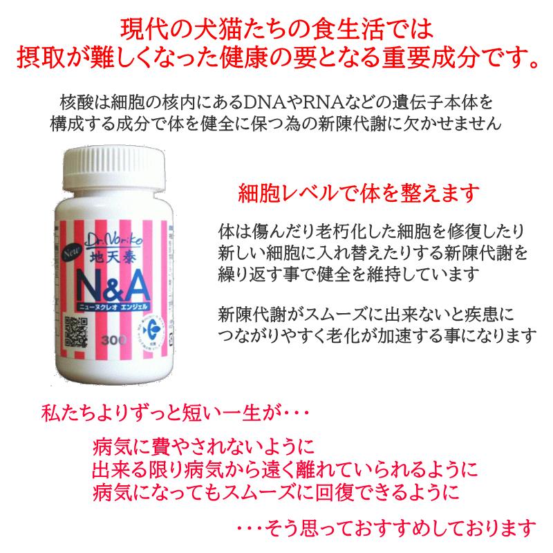 ニュー ヌクレオエンジェル N&A300 ドクターのり子 犬猫用核酸