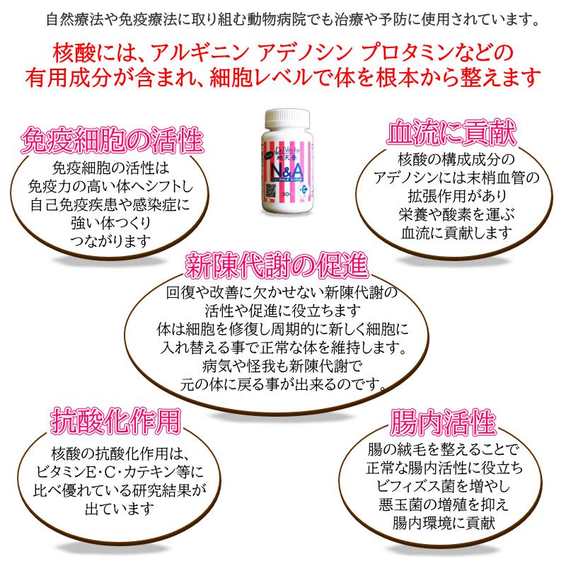 値下げ！！！犬用　猫用　サプリメント　ドクターノリコ　ニューヌクレオ　エンジェル N&A300 地天泰 ニュー ヌクレオエンジェル 300粒 ドクターのり子