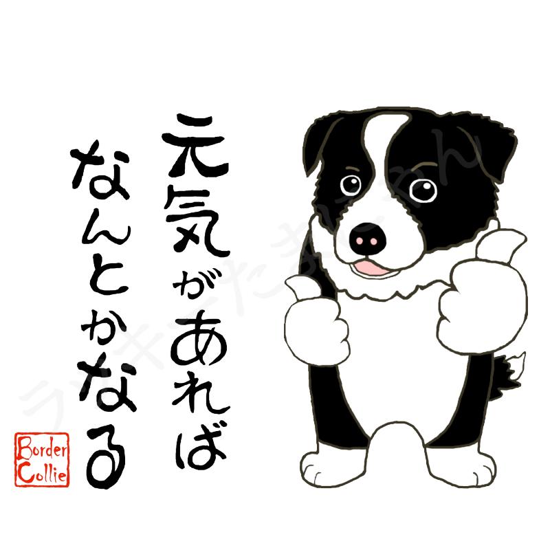 犬柄 マグカップ ボーダーコリー柄 ボーダーコリーグッズ 名入れ可 犬