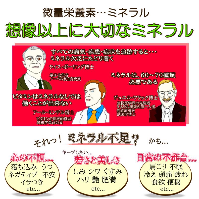 オーガニックフルボ酸原液 1000ml ライフバランスの飲むフルボ酸