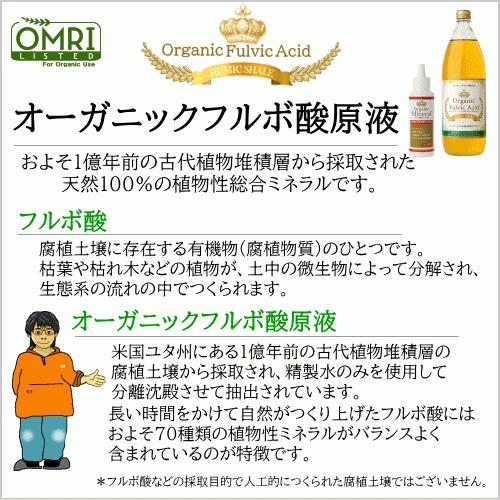 オーガニックフルボ酸原液 1000ml 2本セット ライフバランスの飲む 