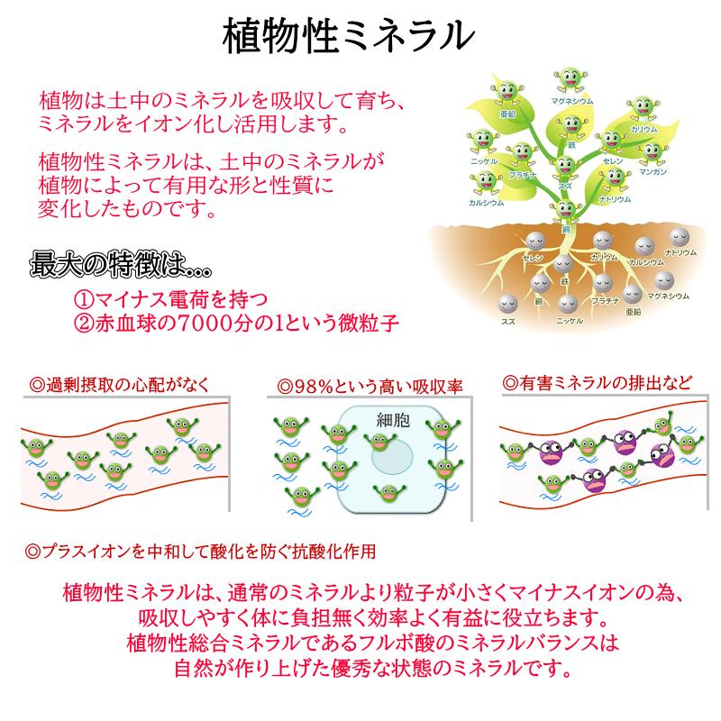 オーガニックフルボ酸原液 1000ml 3本セット ライフバランスの オーガニックフルボ酸原液 1000ml 3本セット ライフバランスの