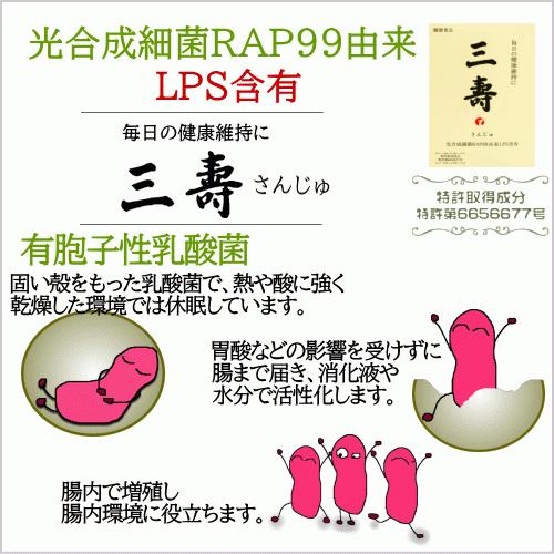 三寿 (60粒入り) 三壽 さんじゅ ティーエフケイ 光合成細菌RAP99