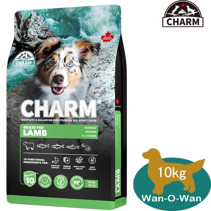 CHARM 草で育てたラム 10kg ドッグフード チャーム（charm） グラスフェッドラム ドッグフード 10kg 「正規品