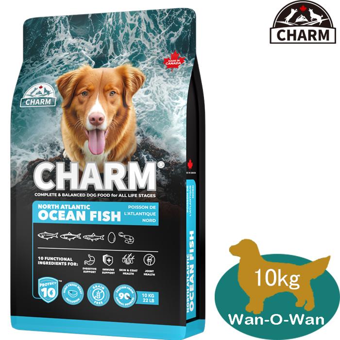 チャーム　オーシャンフィッシュ　10キロ チャーム（charm） ノース・アトランティック・オーシャン・フィッシュ