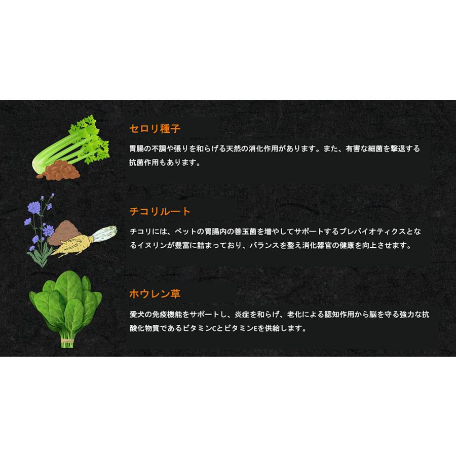 CHARM (チャーム) ラム＆サーモン ドッグ 10kg (選べる