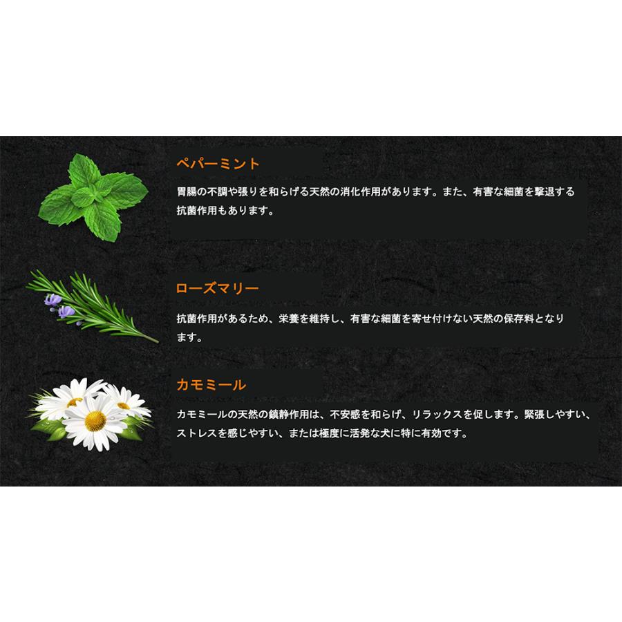 CHARM (チャーム) ラム＆サーモン ドッグ 10kg (選べる