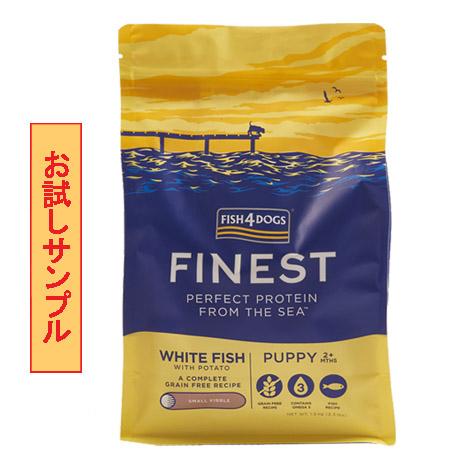 フィッシュ4 (サンプルフードは合計7個まで) ドッグ (ファイ