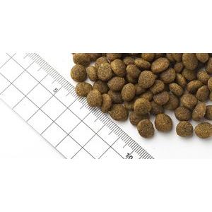 フィッシュ4 パピー　15kg フィッシュ4ドッグ パピー｜ ペット用品の通販サイト ペピイ