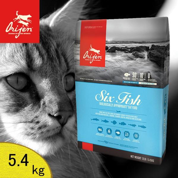 オリジン 6フィッシュ キャット 5 45kg 正規品 Fakfakkab Go Id