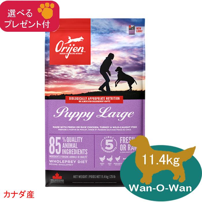ORIJEN（オリジン） パピーラージ (大型犬 子犬用) 11.4kg 正規品