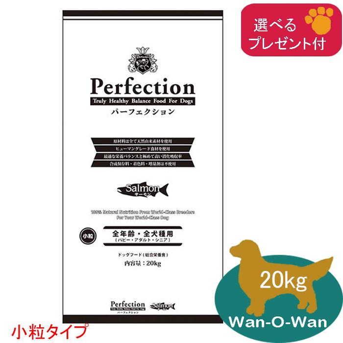 Perfection（パーフェクション） (1月中旬発送予定)パーフェクション