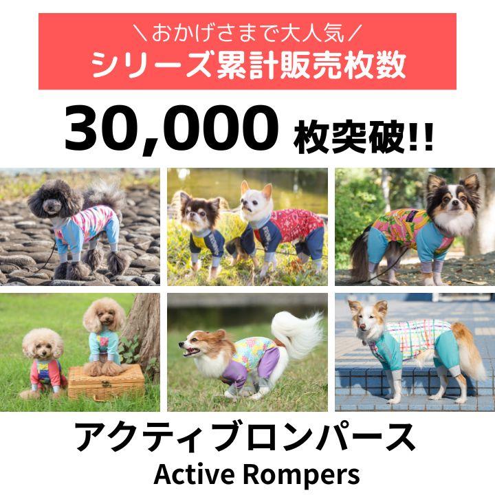 BROWNIE'S（ブラウニーズ） 【2026年モデル】メッシュアクティブ