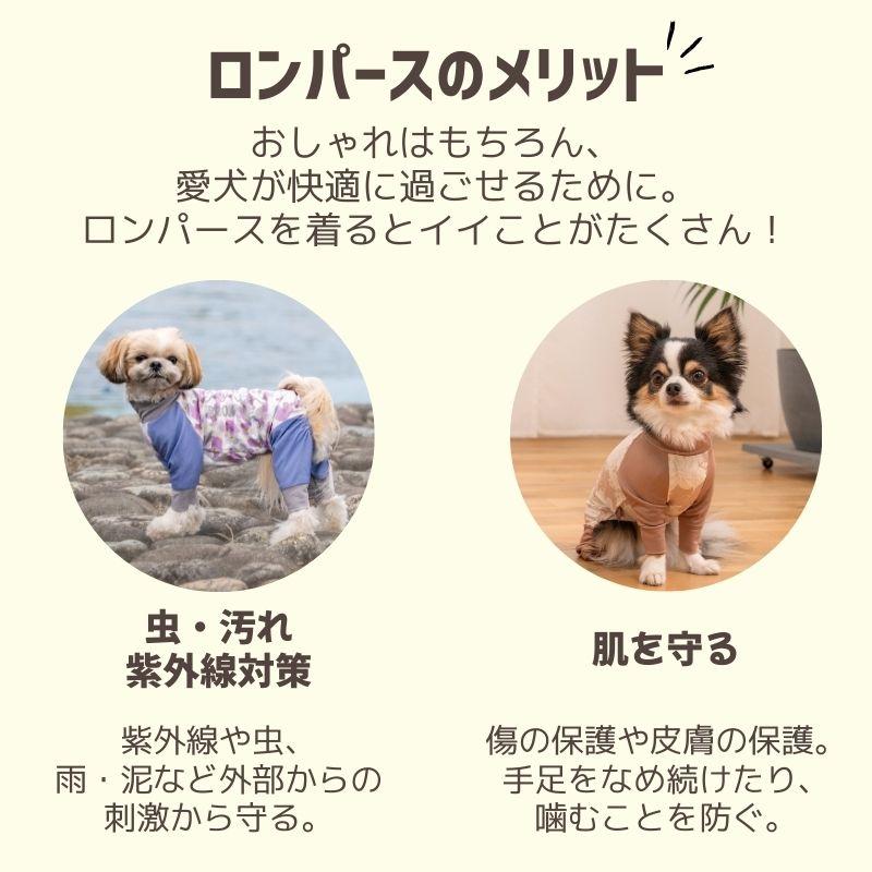 BROWNIE'S（ブラウニーズ） 【2026年モデル】メッシュアクティブ