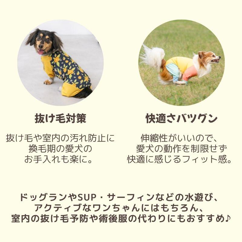 BROWNIE'S（ブラウニーズ） 【2026年モデル】メッシュアクティブ