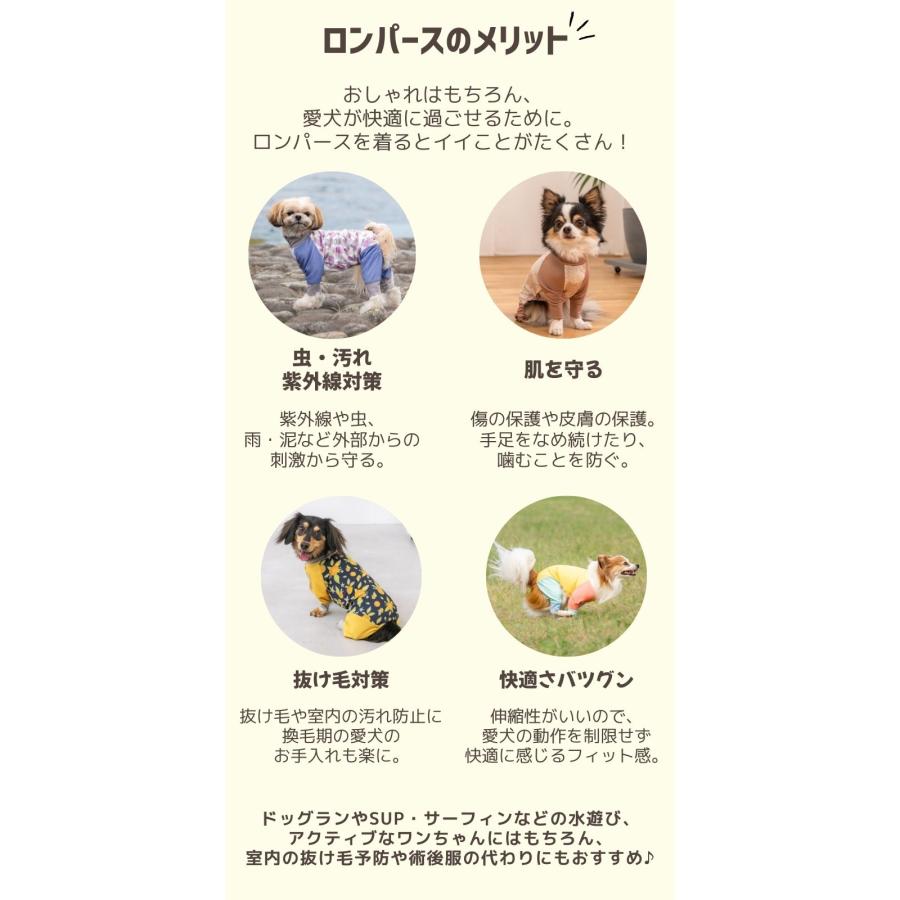 BROWNIE'S（ブラウニーズ） 【2026年モデル】メッシュアクティブ