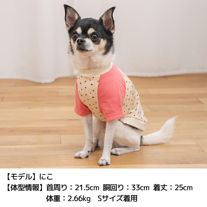 ディーズ君ラグランTシャツ XS/S/M/L/XL/XXL/DXS/DS/DM/DL/FBS/FBM/FBL