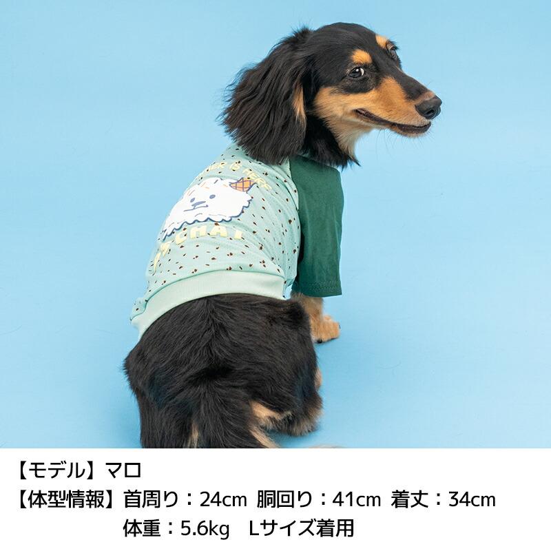ディーズ君ラグランTシャツ XS/S/M/L/XL/XXL/DXS/DS/DM/DL/FBS/FBM/FBL