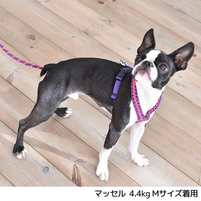 Solgra バイカラーコードハーネス L Solgra-ソルグラ- 犬用 Solgra バイカラーコードハーネス L Solgra-ソルグラ- 犬用
