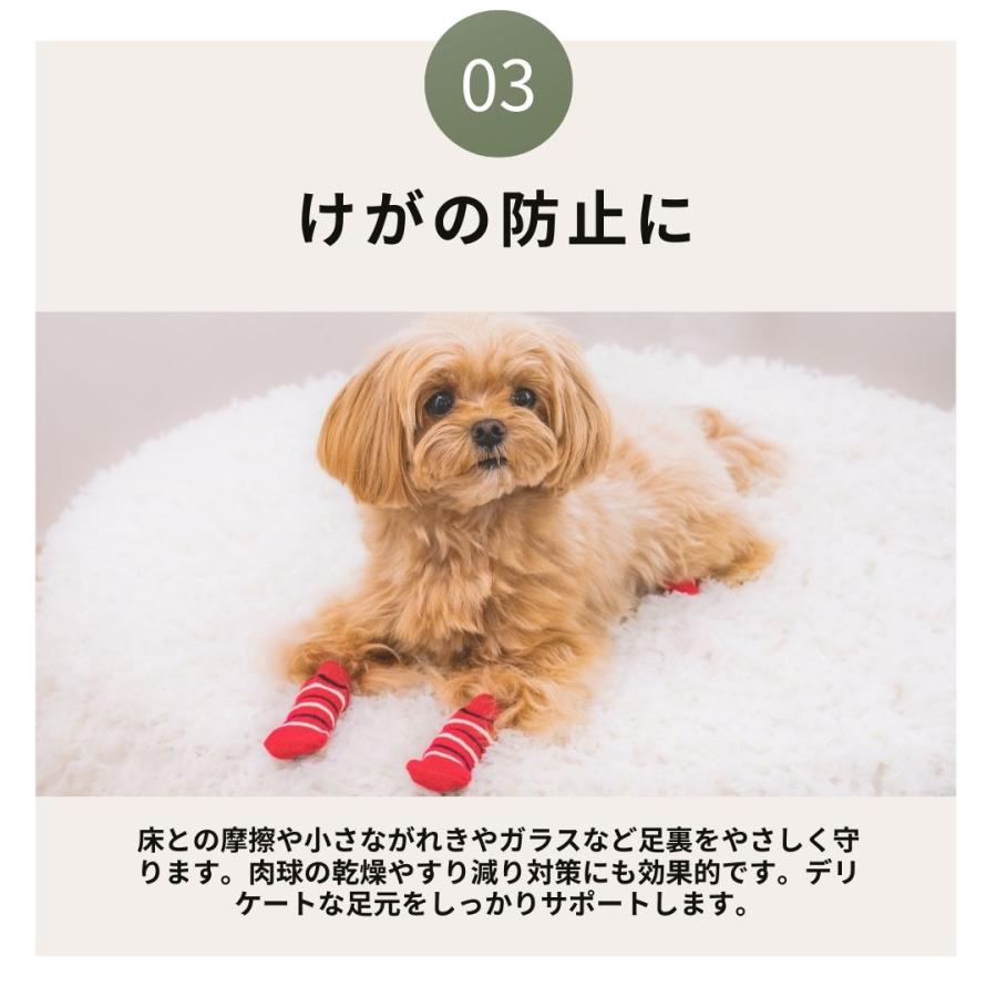 junjun 福袋 犬用靴下 10組 アソート サイズ選べます 10セット junjun 福袋 犬用靴下 10組 アソート サイズ選べます 10セット 2足set