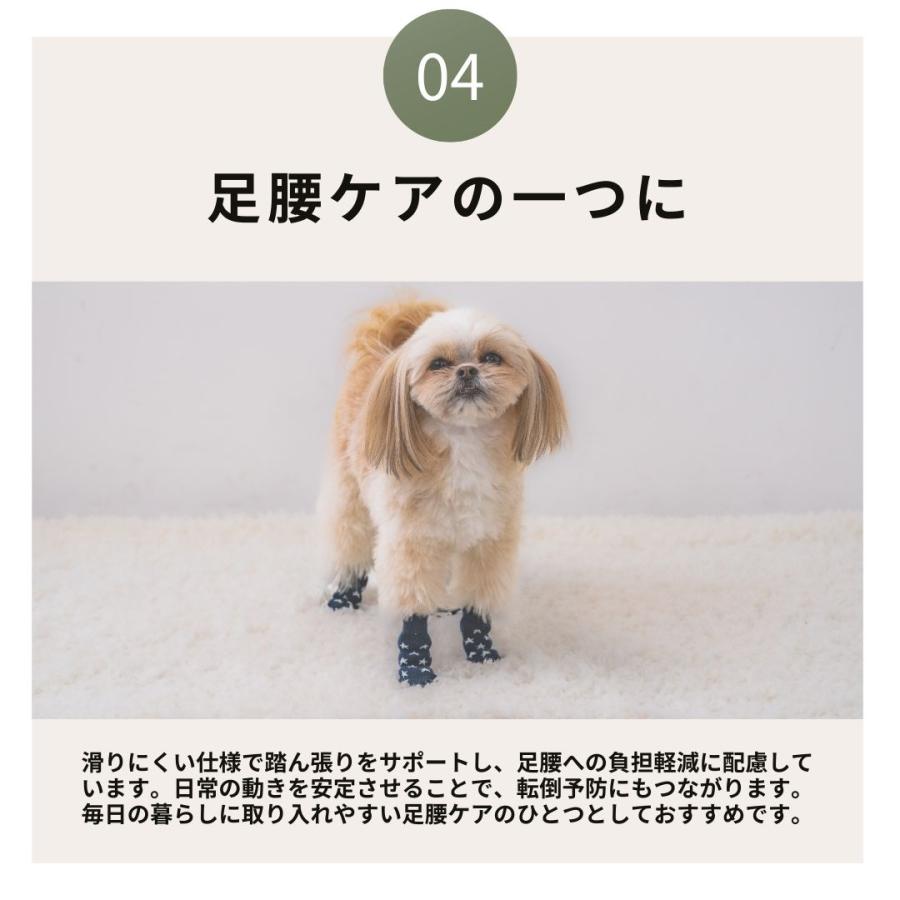 junjun 福袋 犬用靴下 10組 アソート サイズ選べます 10セット junjun 福袋 犬用靴下 10組 アソート サイズ選べます 10セット 2足set】