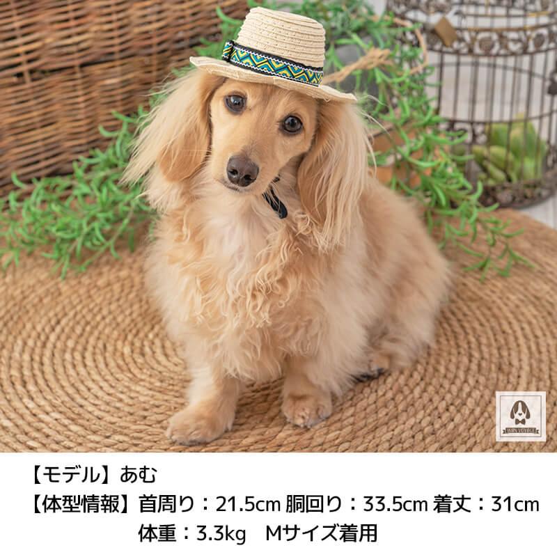 Solgra（ソルグラ） 麦わら帽子 S/M/L Solgra-ソルグラ- 犬用 帽子