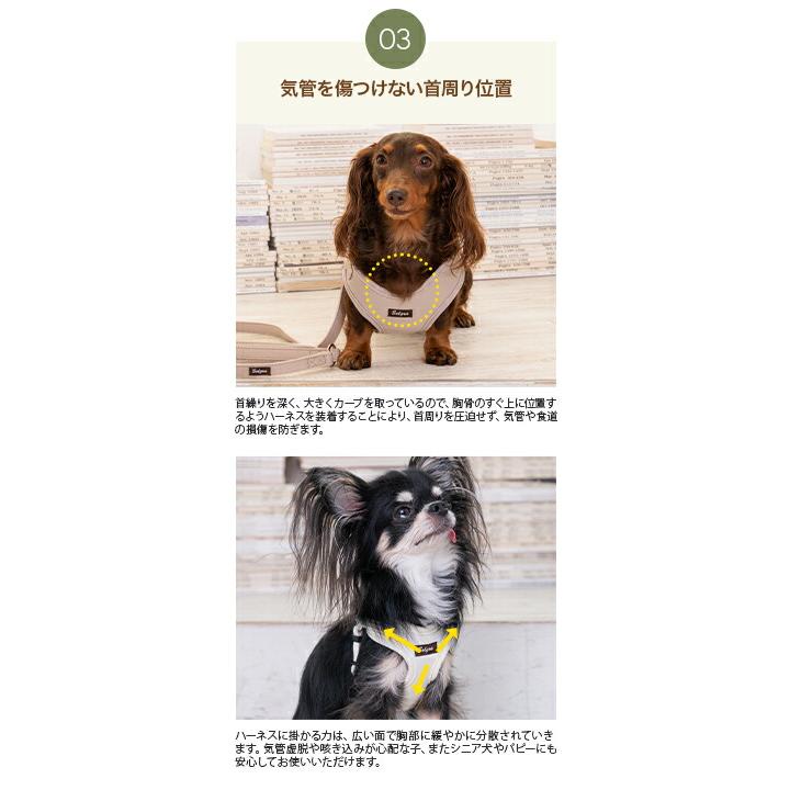 ナチュラルニットハーネス XS/S/M/L Solgra-ソルグラ- 超小型犬 小型犬