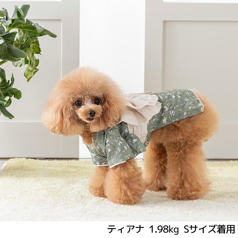 Solgra（ソルグラ） 浴衣 XS/S/M/L/XL/XXL Solgra-ソルグラ- 犬用