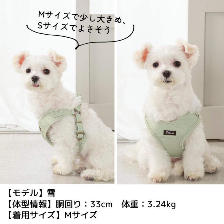 ナチュラルキャンバスハーネス XS/S/M/L Solgra-ソルグラ- 犬用