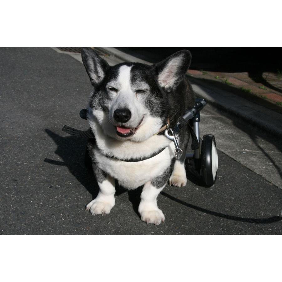 わんワーク 犬用2輪歩行器・車椅子 中型犬用 〜9kg以上｜wan-work