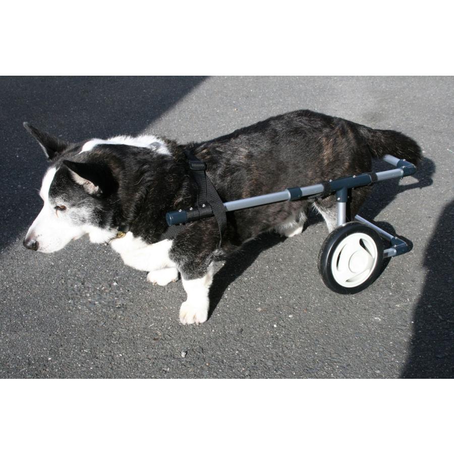 わんワーク 犬用2輪歩行器・車椅子 中型犬用 〜9kg以上｜wan-work｜02