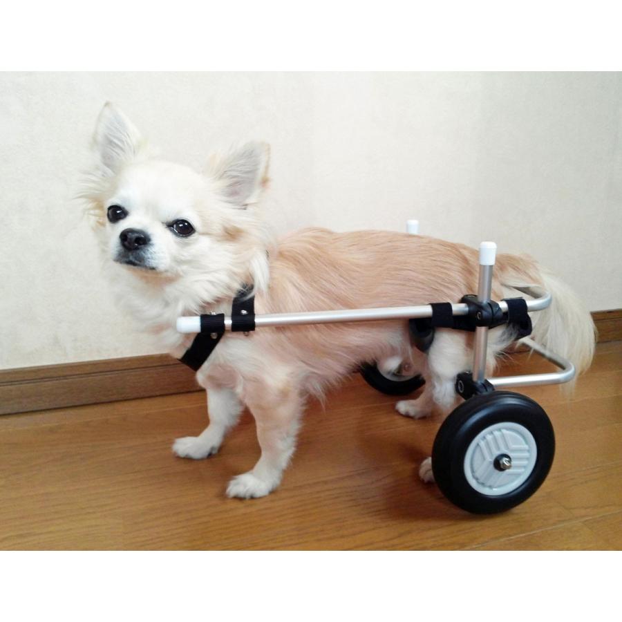 わんワーク 犬用2輪歩行器・車椅子 小型犬用 〜8.5kg以下 :H2S-001-S:わんワーク - 通販 - Yahoo!ショッピング