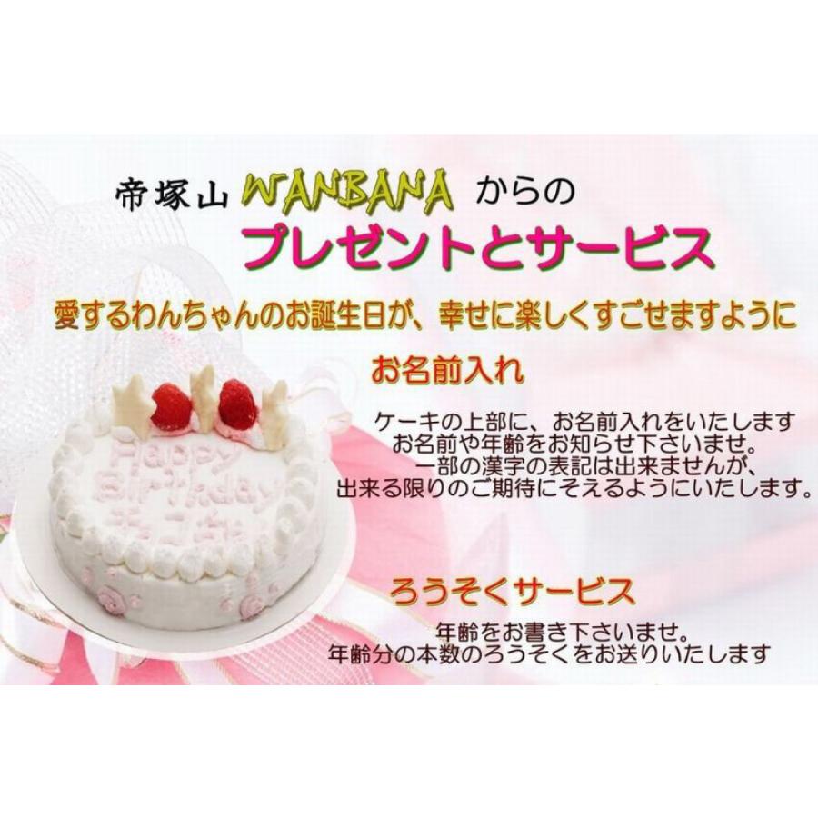 犬用 ケーキ フットマーク４号サイズささみ入り お誕生日 無添加 おやつ プレゼント 人気 ホールケーキ 帝塚山 名前入れ 鶏ささみ Wanbana s4 犬猫用ケーキおやつ帝塚山ワンバナ 通販 Yahoo ショッピング