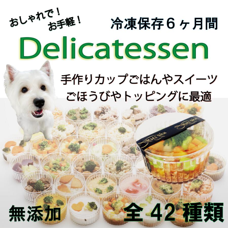 手作りごはん ドッグフード 犬用の離乳食 介護食 療養食 ダイエット食 低カロリー お惣菜 ごちそう ペースト状 いわし雑炊 フィッシュ 柔らかい 調理済み｜wanbana｜04