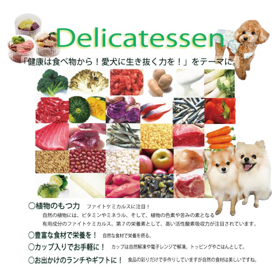 ドッグフード 犬用の離乳食 介護食 療養食 ダイエット食 低カロリー お惣菜 ごちそう ペースト状 大山鶏かぼちゃ玄米リゾット トッピング 手作り｜wanbana｜05