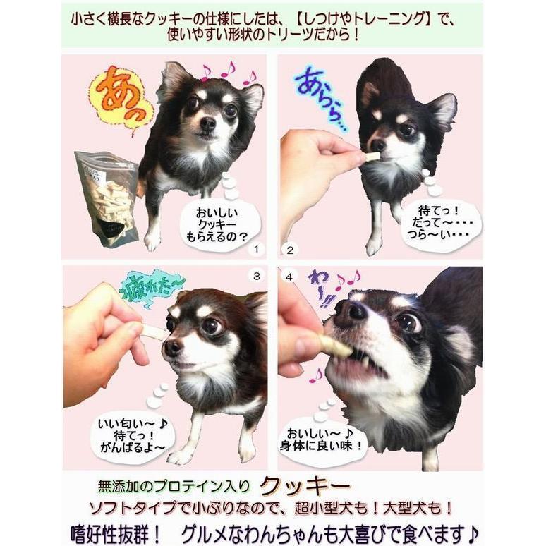 犬用のおやつ プレミアム かぼちゃのクッキー プロテイン入り 国産 手作り トリーツ ドッグ 人気 プレゼント 無添加のペット用品で健康な食事を 犬猫用ケーキおやつ帝塚山ワンバナ 通販 Yahoo ショッピング