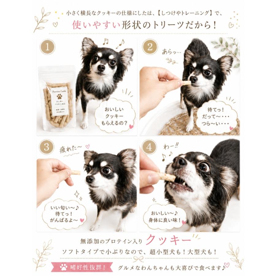 帝塚山WANBANA 犬用おやつ ビルベリークッキー 70g 国産無添加 目の